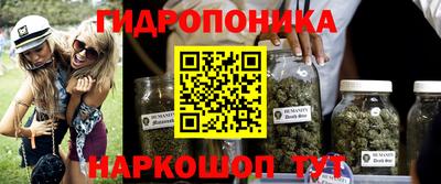 прущие крисы Анапа